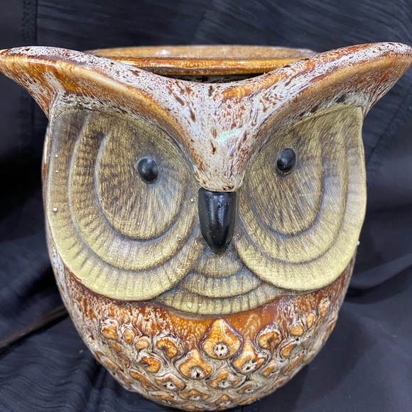 Scentsy Accents Retired Scentsy Spotted Owl Full Size Burner Wax